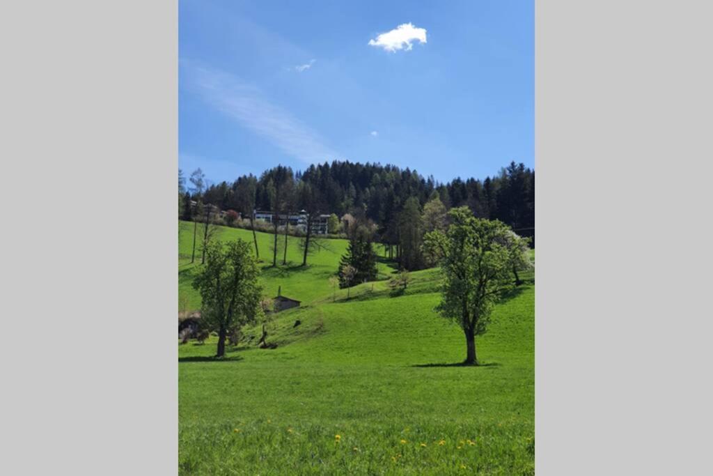 Ferienwohnung Am Bischofsberg Edlbach Dış mekan fotoğraf