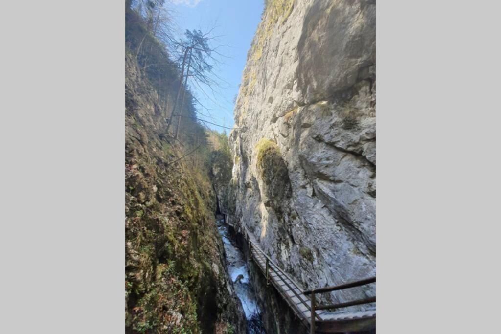Ferienwohnung Am Bischofsberg Edlbach Dış mekan fotoğraf